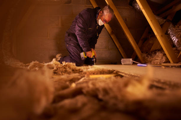 Best Attic Insulation Installation  in Essex, MD